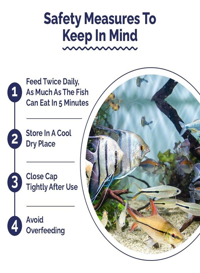 كينكو إنتان طعام أسماك الزينة المائية | رقائق صغيرة بطيئة الغرق لأسماك الزينة | رقائق لصحة ونمو الأسماك | عبوة كبيرة (180 جم) - Image 5